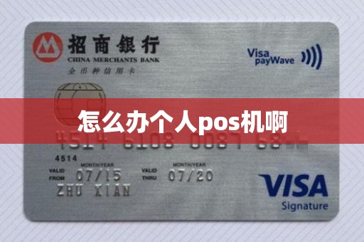 怎么办个人pos机啊