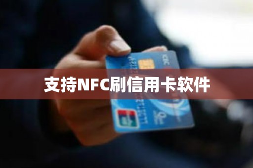 支持NFC刷信用卡软件