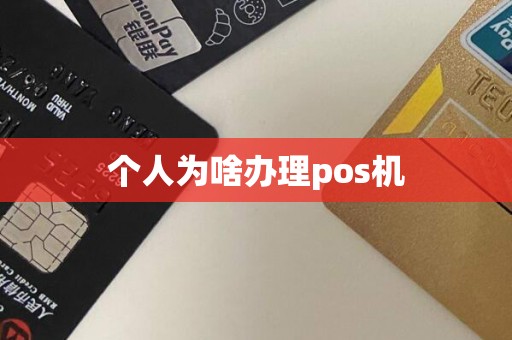 个人为啥办理pos机