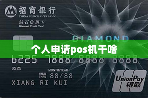 个人申请pos机干啥
