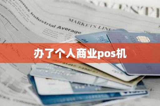 办了个人商业pos机