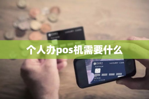 个人办pos机需要什么