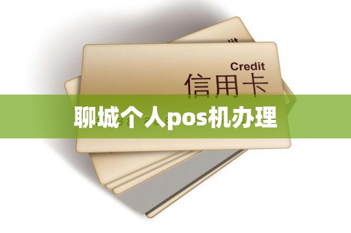 聊城个人pos机办理