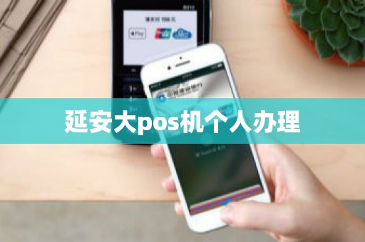 延安大pos机个人办理
