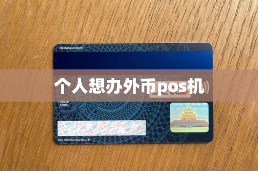 个人想办外币pos机