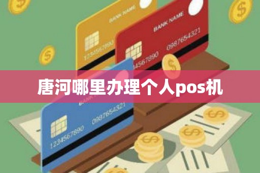 唐河哪里办理个人pos机