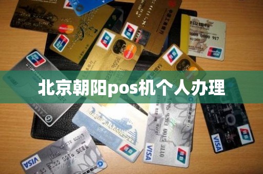 北京朝阳pos机个人办理