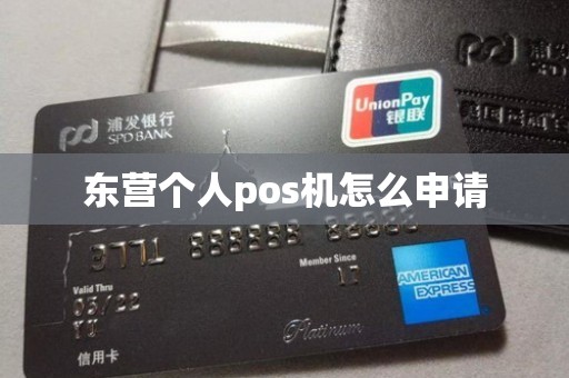 东营个人pos机怎么申请