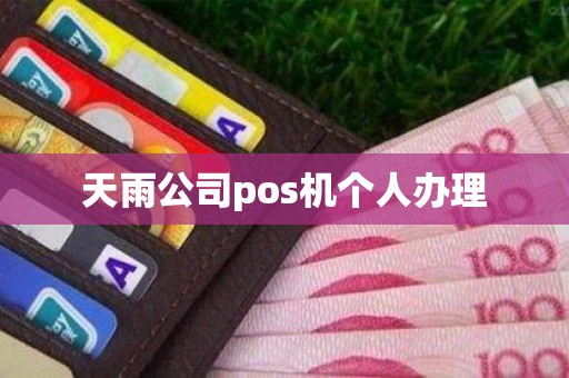 天雨公司pos机个人办理
