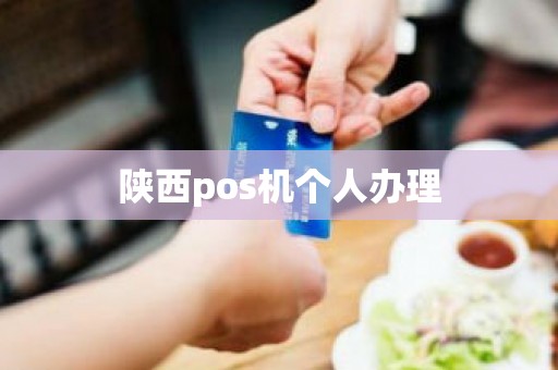 陕西pos机个人办理