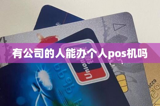 有公司的人能办个人pos机吗