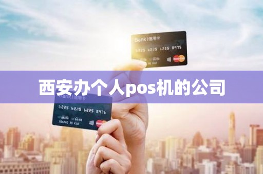 西安办个人pos机的公司