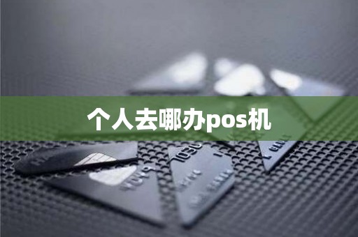个人去哪办pos机