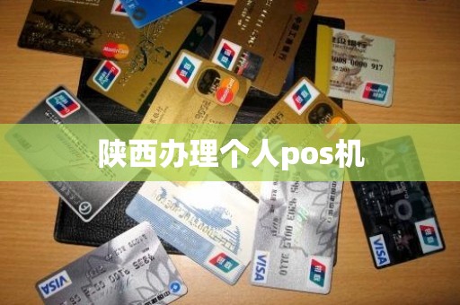 陕西办理个人pos机