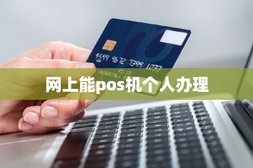 网上能pos机个人办理