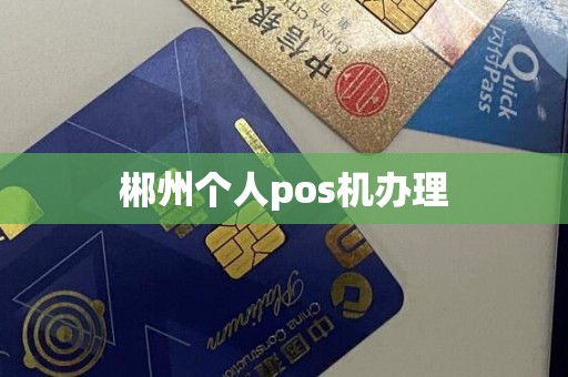 郴州个人pos机办理