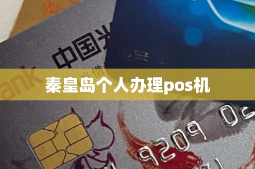 秦皇岛个人办理pos机