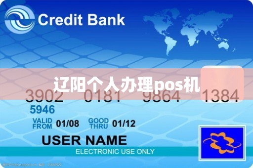 辽阳个人办理pos机