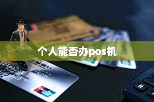 个人能否办pos机