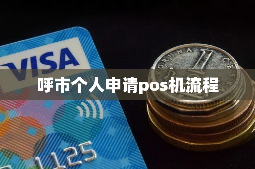 呼市个人申请pos机流程