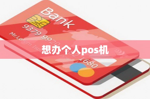 想办个人pos机