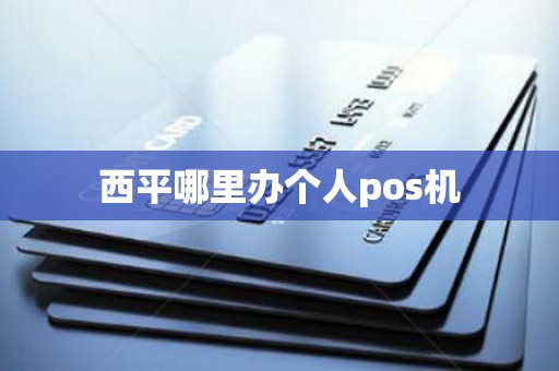 西平哪里办个人pos机