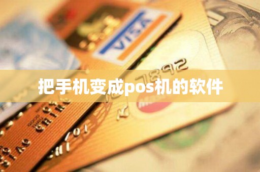 把手机变成pos机的软件