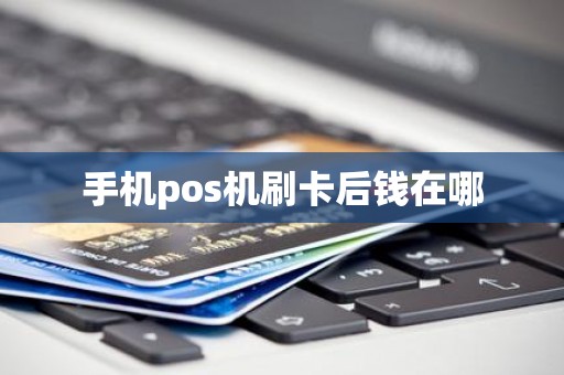 手机pos机刷卡后钱在哪
