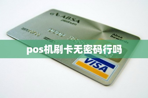 pos机刷卡无密码行吗