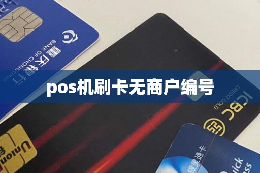 pos机刷卡无商户编号