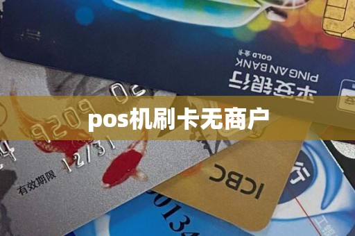pos机刷卡无商户