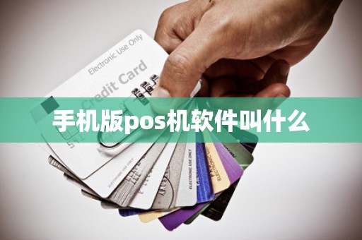手机版pos机软件叫什么