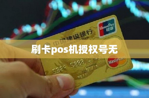 刷卡pos机授权号无