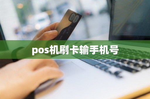 pos机刷卡输手机号