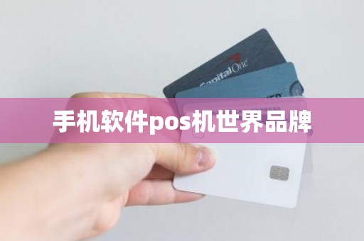 手机软件pos机世界品牌