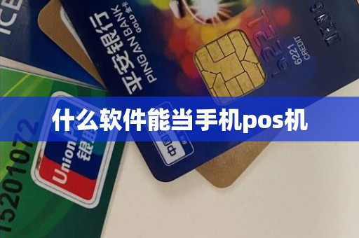 什么软件能当手机pos机