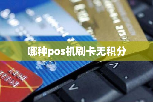 哪种pos机刷卡无积分