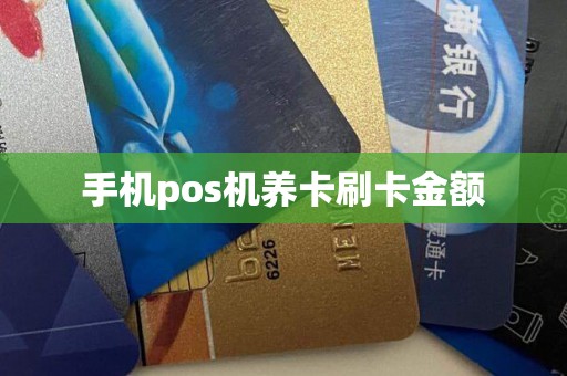 手机pos机养卡刷卡金额