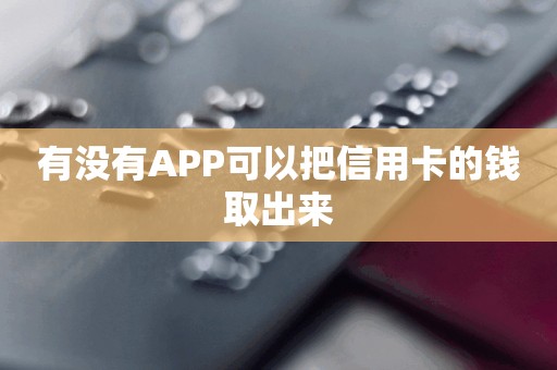有没有APP可以把信用卡的钱取出来