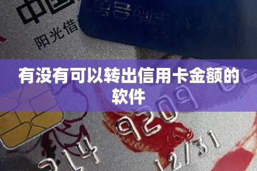 有没有可以转出信用卡金额的软件