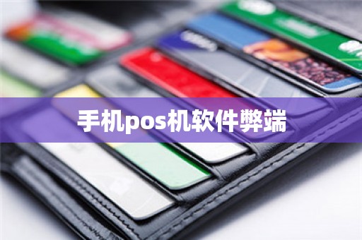 手机pos机软件弊端