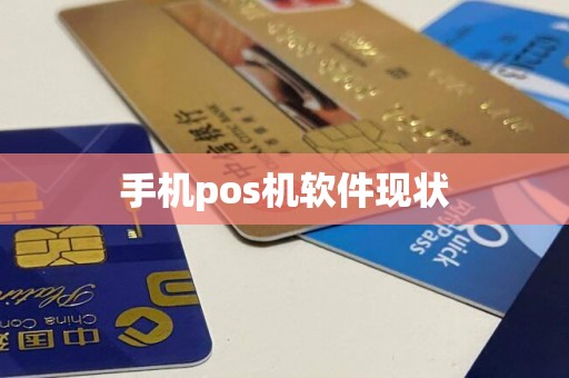 手机pos机软件现状