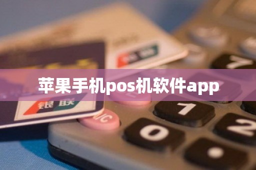 苹果手机pos机软件app