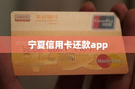 宁夏信用卡还款app