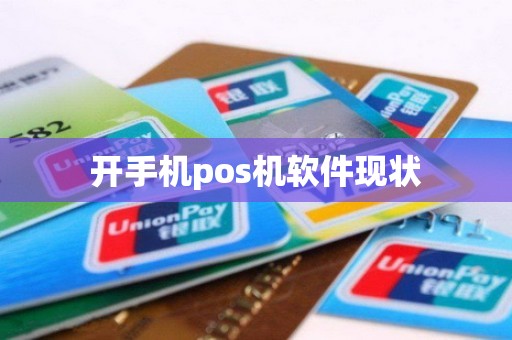 开手机pos机软件现状