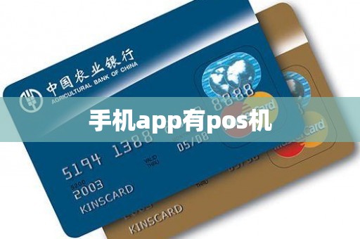手机app有pos机