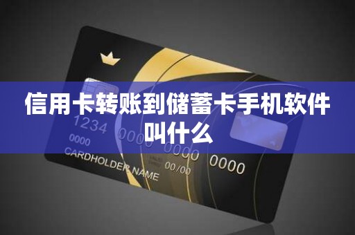 信用卡转账到储蓄卡手机软件叫什么