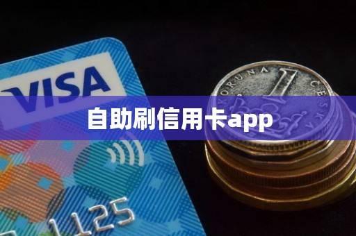 自助刷信用卡app