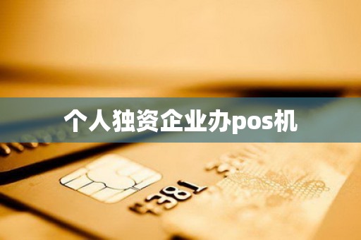 个人独资企业办pos机