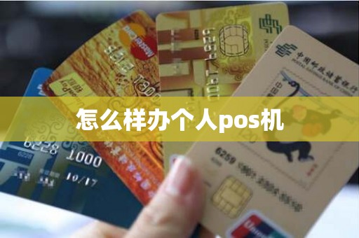 怎么样办个人pos机